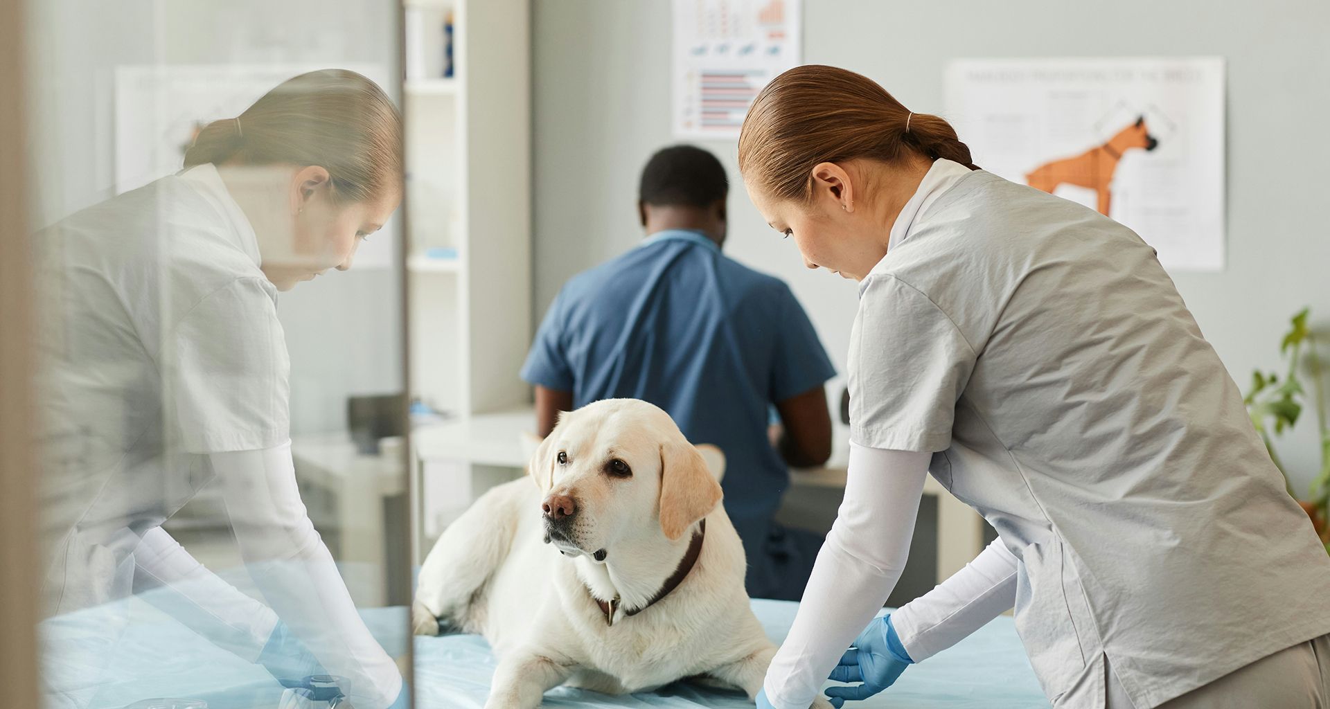 Surgical Care