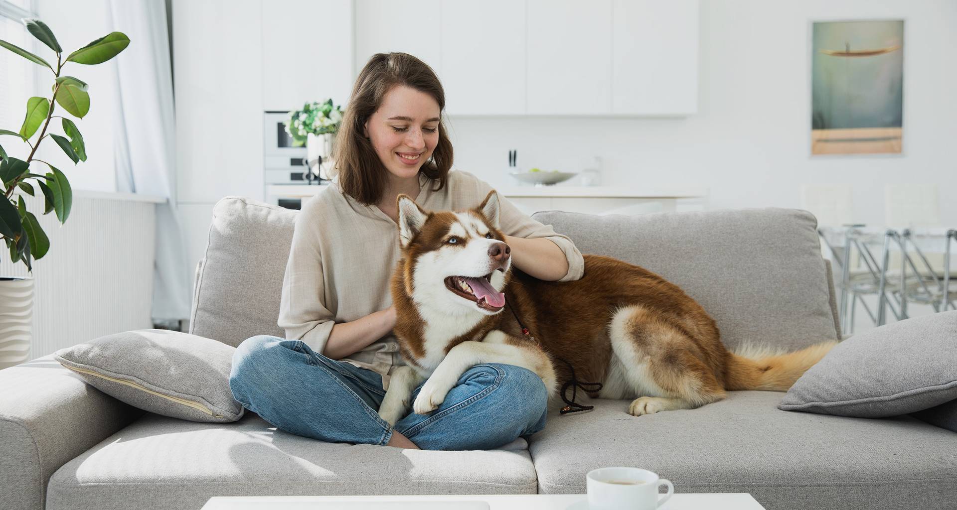 Pet Sitting
