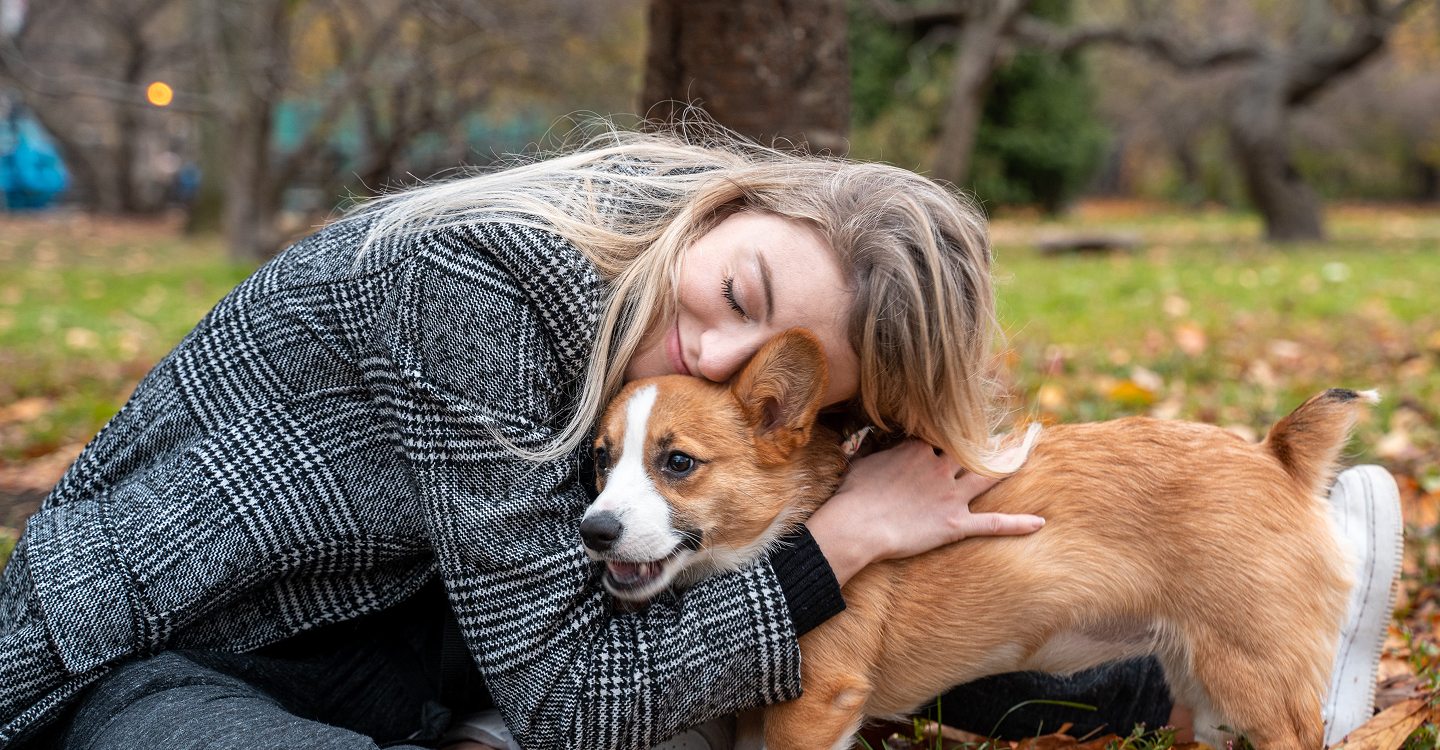 Keep pets safe during summer heat every day together
