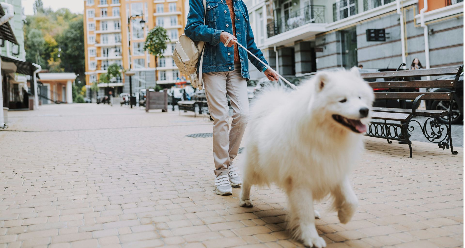 Pet Walking